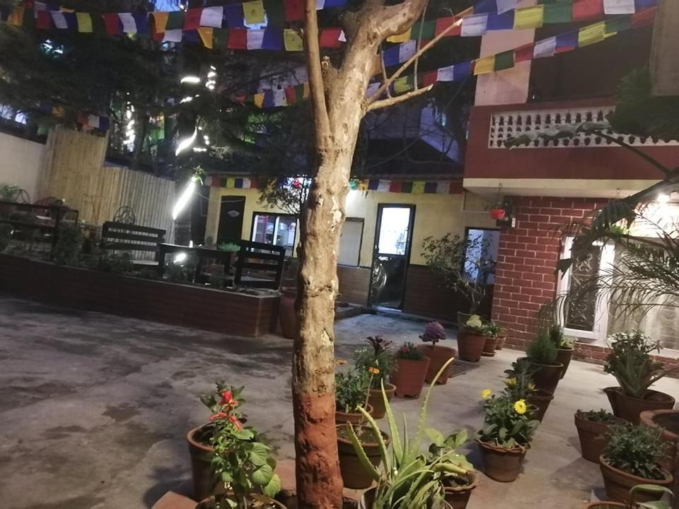 Nirvana Green Peace Home Katmandu Kültér fotó
