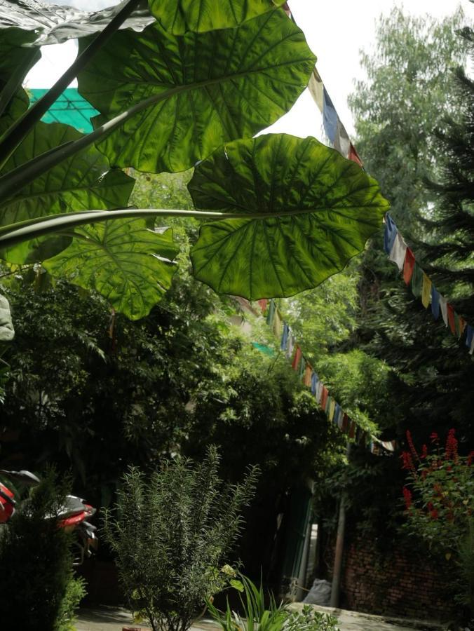 Nirvana Green Peace Home Katmandu Kültér fotó