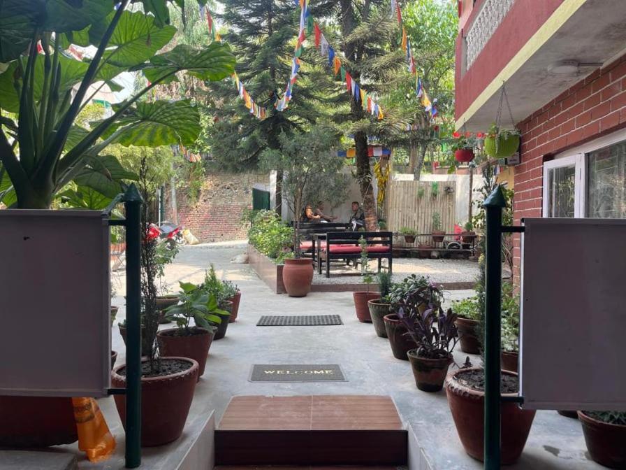 Nirvana Green Peace Home Katmandu Kültér fotó