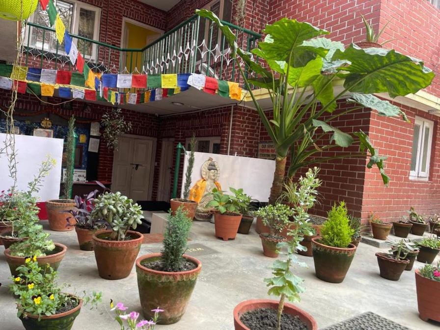 Nirvana Green Peace Home Katmandu Kültér fotó