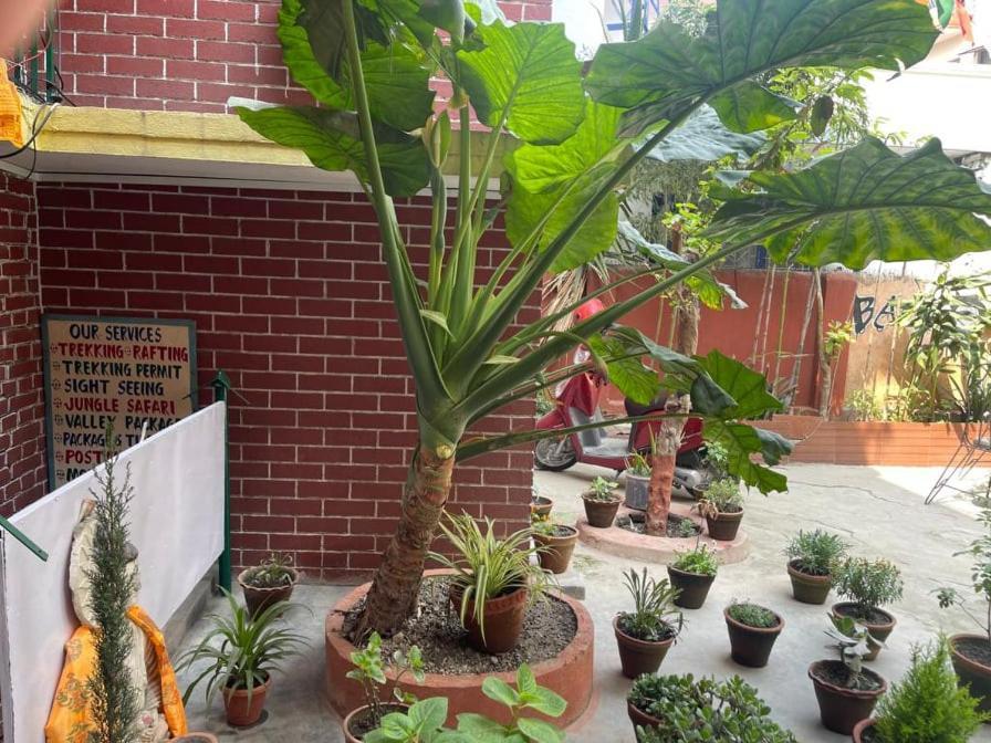 Nirvana Green Peace Home Katmandu Kültér fotó