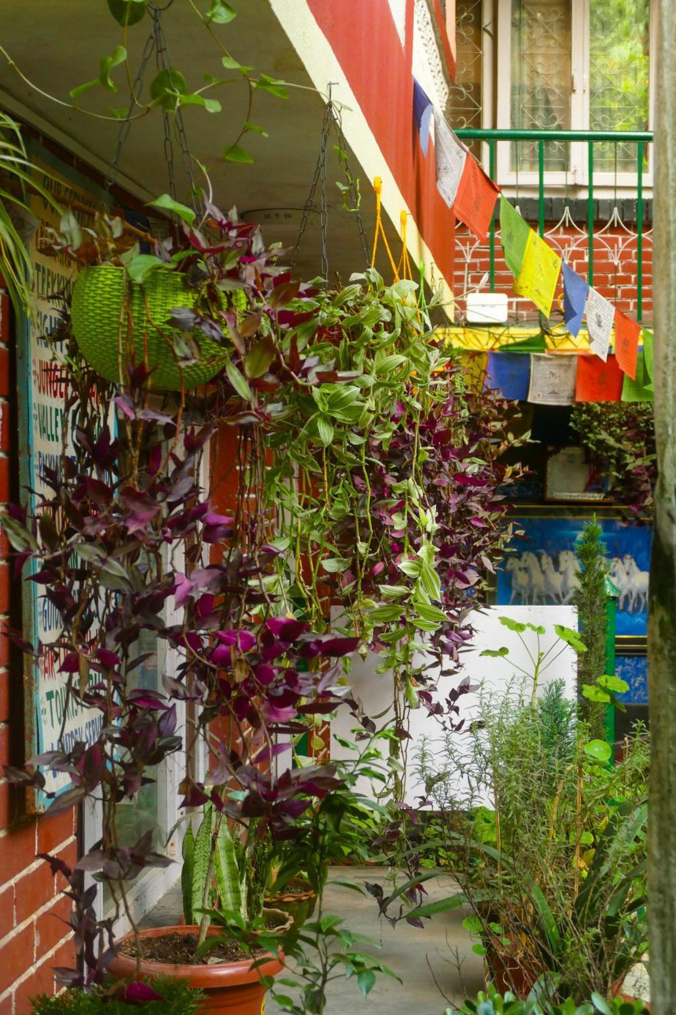 Nirvana Green Peace Home Katmandu Kültér fotó