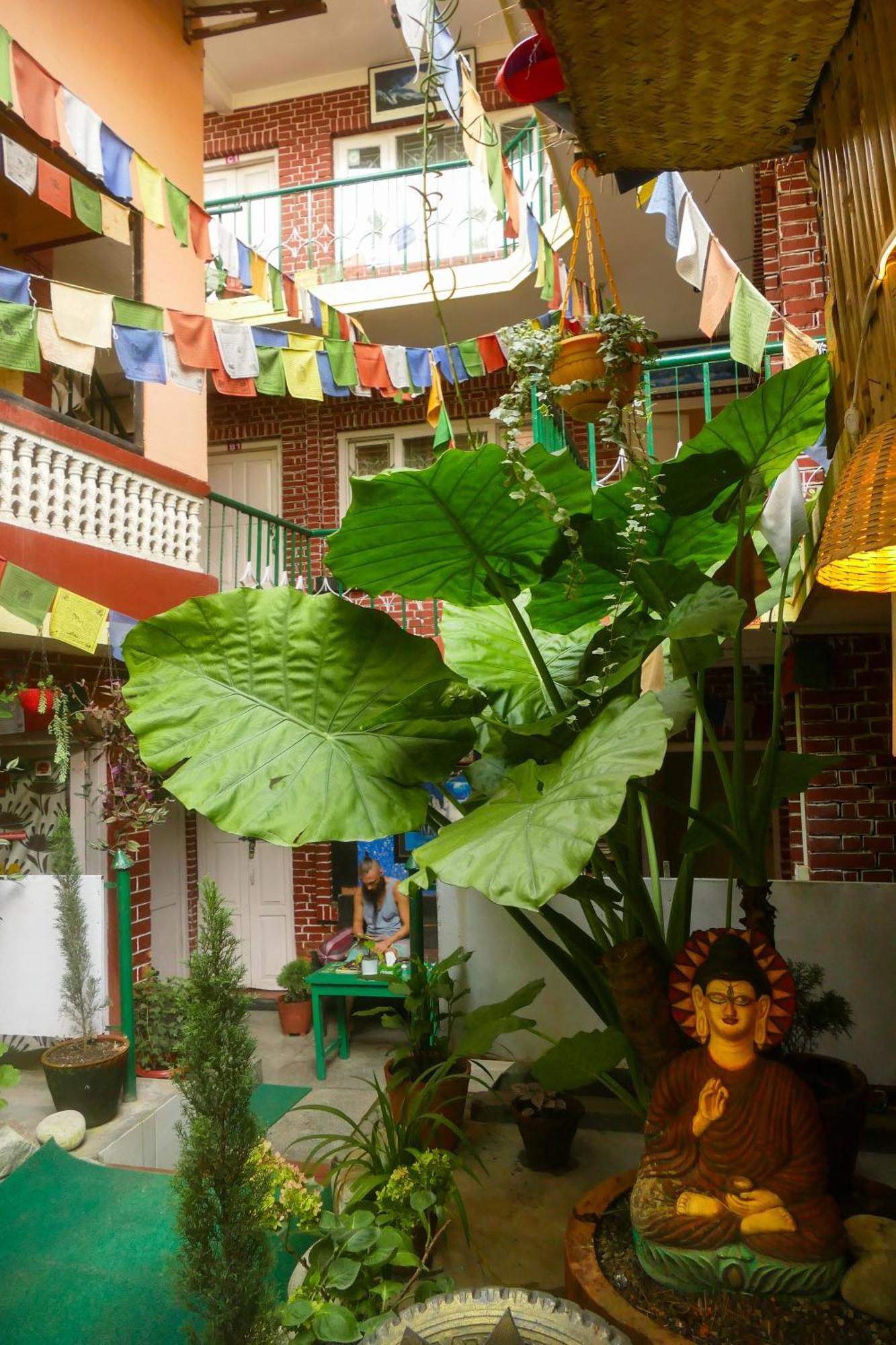 Nirvana Green Peace Home Katmandu Kültér fotó