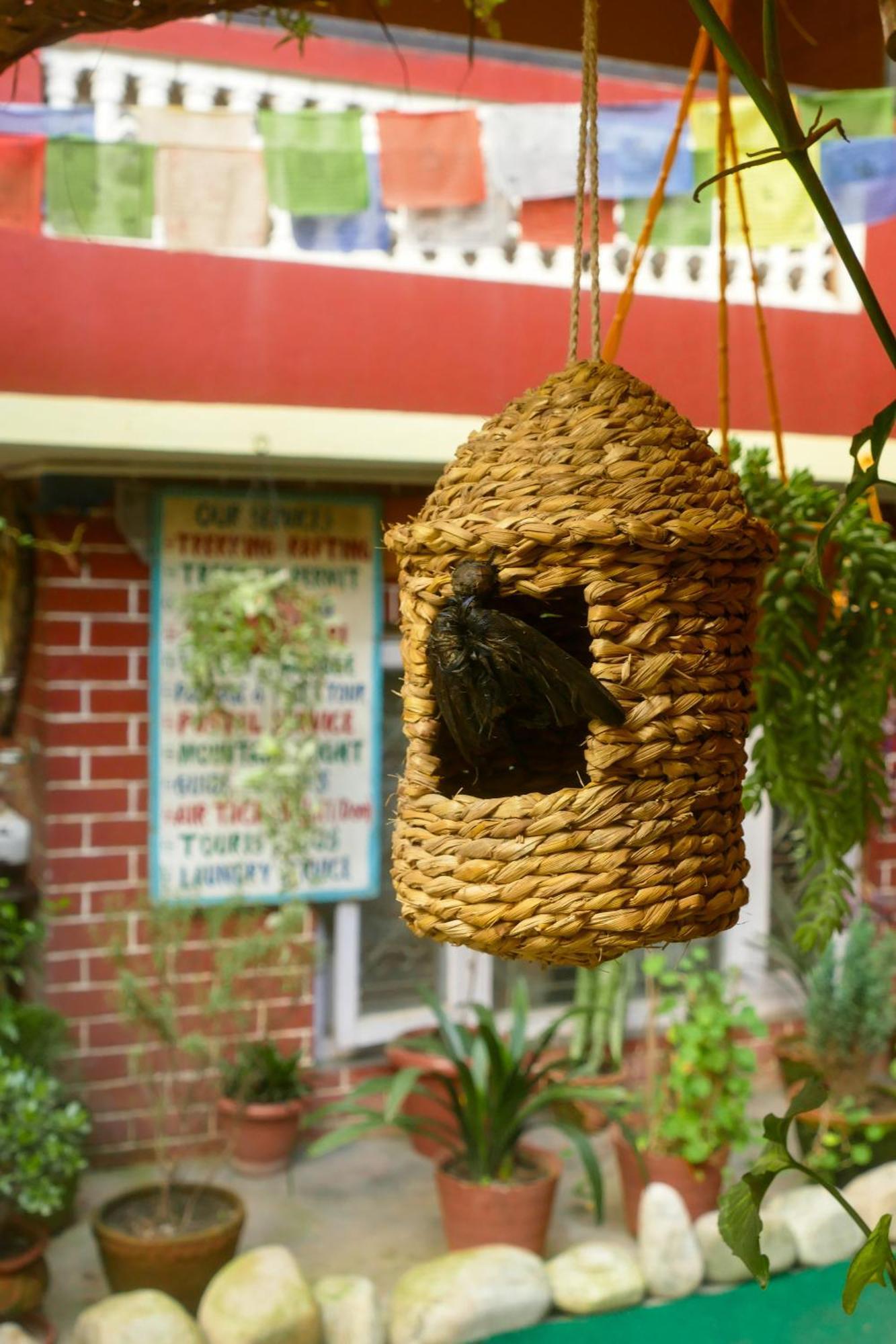 Nirvana Green Peace Home Katmandu Kültér fotó